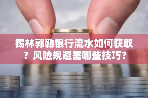 锡林郭勒银行流水如何获取?风险规避需哪些技巧?