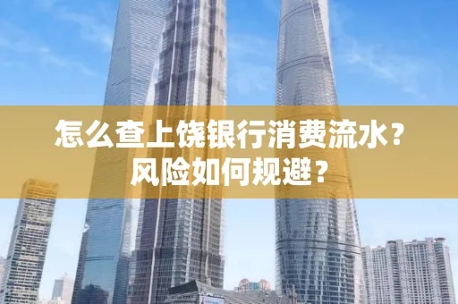 怎么查上饶银行消费流水?风险如何规避?