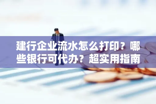建行企业流水怎么打印?哪些银行可代办?超实用指南来了!