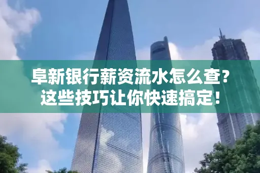 阜新银行薪资流水怎么查?这些技巧让你快速搞定!