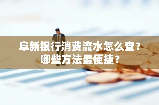 阜新银行消费流水怎么查?哪些方法最便捷?