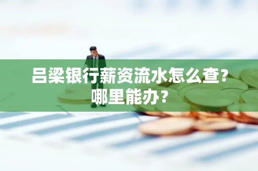 吕梁银行薪资流水怎么查？哪里能办？