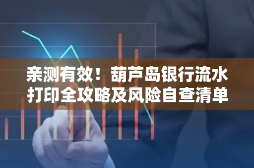 亲测有效!葫芦岛银行流水打印全攻略及风险自查清单